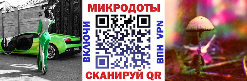 Галлюциногенные грибы Psilocybe  Павлово 