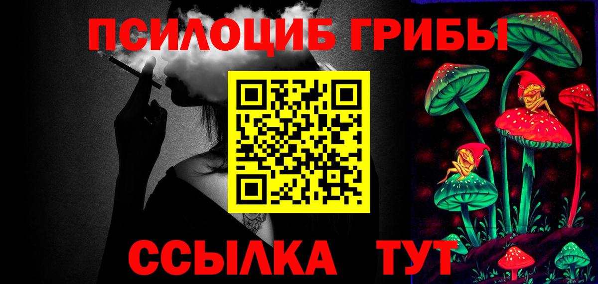 Псилоцибиновые грибы GOLDEN TEACHER  Вход с VPN  цены наркотик  Павлово 